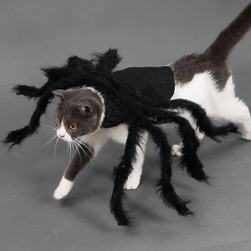 Halloween Pet Spider Cosplay Costumes Fancy Dress Outfit Accessories Festival Gift for Small Puppy Cat Dog