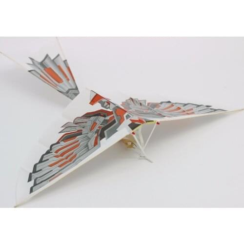 YHEQUIPMENT Kites