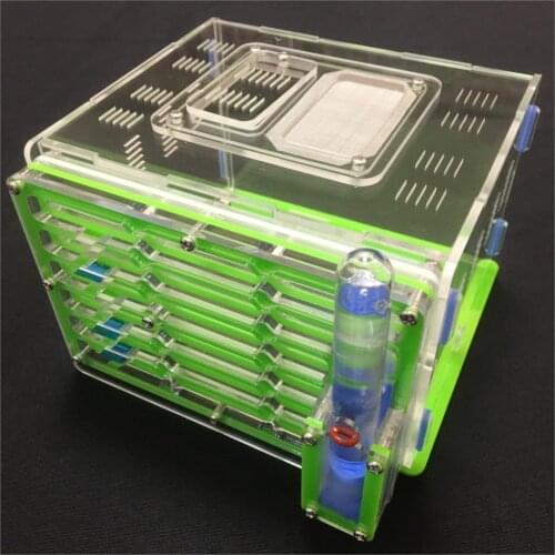 Green color moisture with feeding area ant nest ,ant farm acryl, insect ant nests villa new pet advanced mania for house ants