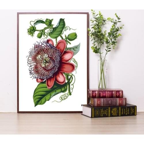 Giant Passion Flower Print Antique Victorian Botanical Canvas Print Floral Plant Picture Vintage Painting Living Room Wall Decor