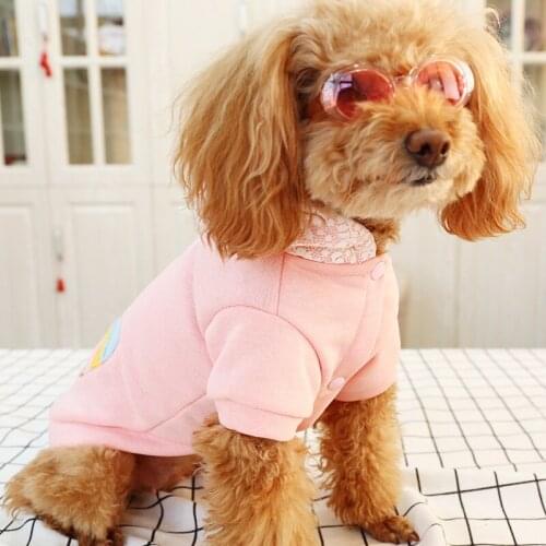 Dog Spring Clothes Fleece Two Leg Coat Decorated With Pink Lace Hat Embroidery Ice Cream Lady Teddy Bear Clothes DOGGYZSTYLE