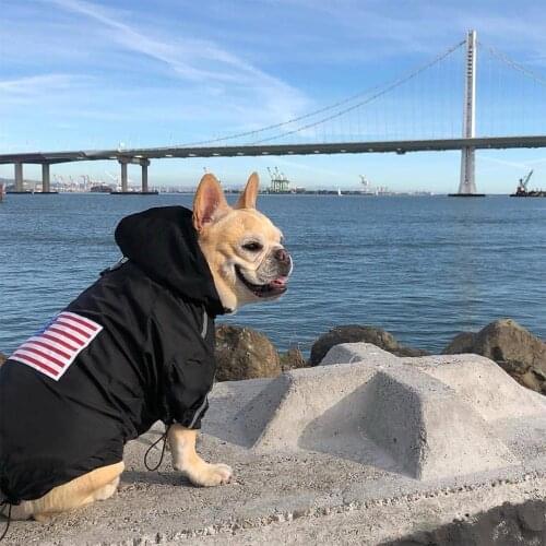 Puppy Windbreaker Rainproof Clothes Pet Coat Chihuahua Teddy Bulldog Ropa Puppy Raincoat Dog Face Waterproof Dog Jacket