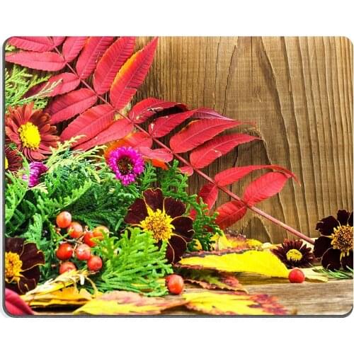 Y011 Natural Rubber Gaming mouse pad mouse mat Fishes and corals reef in aquarium nature background PM010925