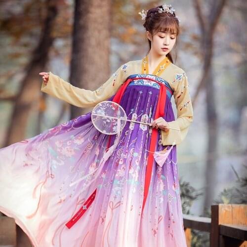Traditional Chinese Costume Noble Palace Princess Cosplay Hanfu Dress Folk Dance Ancient Chinese Tang Suit Fairy Outfits DWY2788