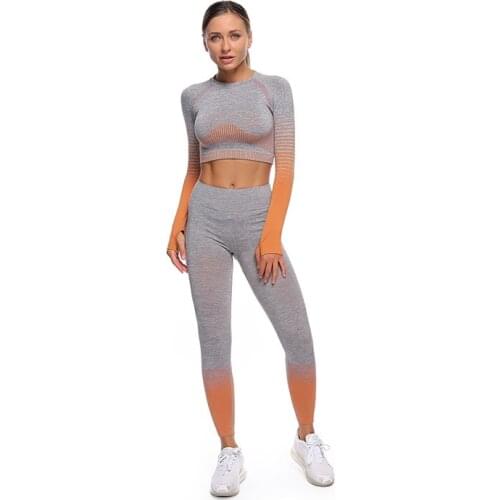 Women Seamless Yoga Sets Fitness Sports Suits Gym Wear Long Sleeve Shirts High Waist Running Leggings Workout Pants Shirts,ZF288