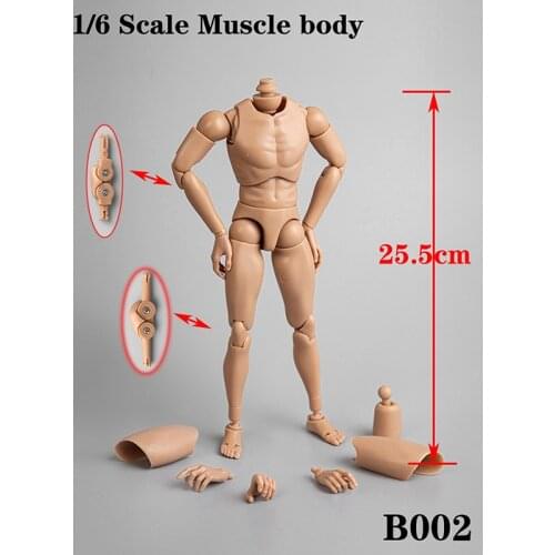 Collectible B001/B002 Upgrated Version 1/6 Narrow Shoulder Wide Shoulders/Narrow Shoulders Skin Color for 1:6 Head Sculpt