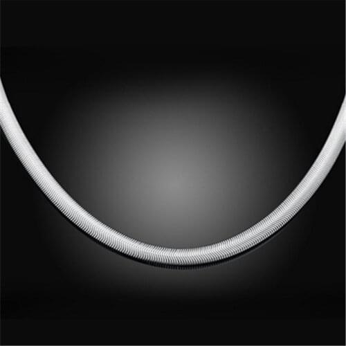 6 mm in diameter Selling styles standard 925 pure silver snake chain long good bone style collocation silver chain accessories