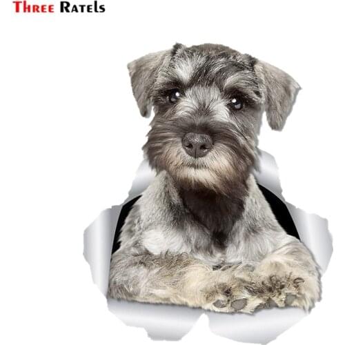 Three Ratels 1079 3D Curious Schnauzer Dog Wall Decals Dog Sticker Decals for Walls Fridge Cars Toilet Luggage Skateboard Laptop