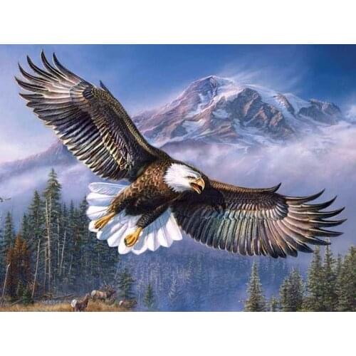 Flying Eagle Diamond Painting Kit - DIY