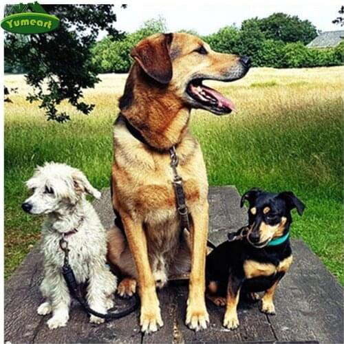 Yumeart Diamond Art Pictures"Pug Dog"5D DIY Diamond Painting Cross Stitch Full Square Drill 3D Diamond Painting kit Wall Sticker