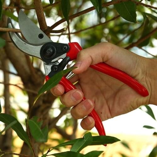 Metal Pruning Shears Garden Bypass Pruners Fruit Tree Flower Cutter Grafting Tool Branches Scissors Gardening Plants Trimmer