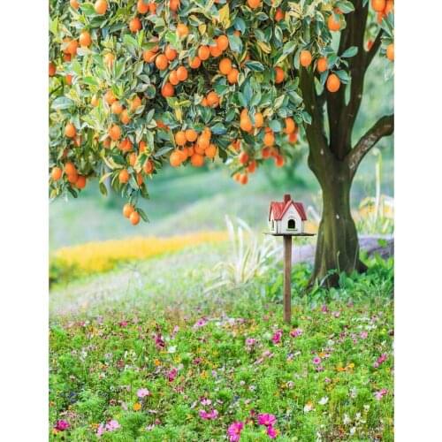 Orange tree photo backgrounds vinyl fotografia 2020 autumn photography backdrops for photo studio accessories video funds S-2191