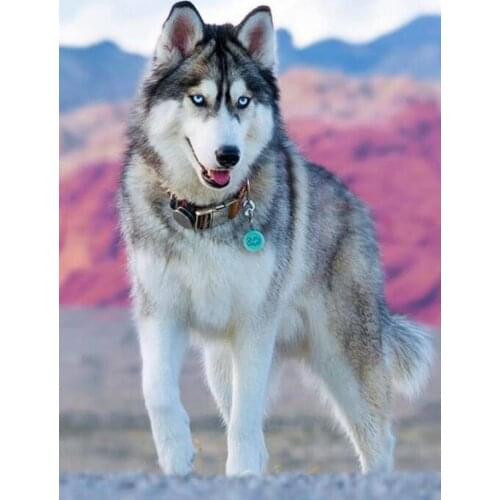 "Adult Husky dogs"Full Layout 5D DIY Diamond Painting Embroidery Cross Stitch Rhinestone Mosaic Painting Decor Gift NEW1961