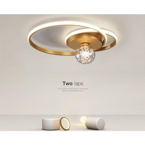 Chandelier Indoor Home Light Two Different Shape Modern LED Lamps For For Living Room Bedroom Balcony Corridor Kitchen Lighting