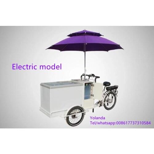High Quality 2020 New Design CE approved 250w/500w LCD display 3 wheel front loading electric ice cream tricycle with umbrella