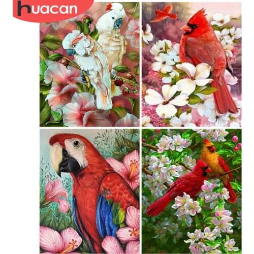 HUACAN Oil Painting By Numbers Bird Animal On Canvas DIY Frame Wall Art Acrylic Picture By Numbers Flower Childrens Room Decor