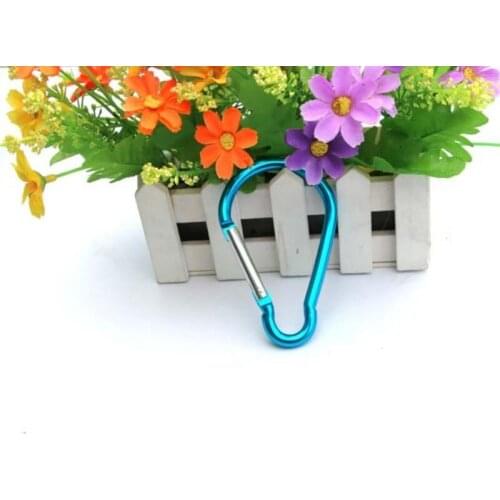 New Aluminum Alloy Outdoor Carabiner Spring Snap Clip Hooks Keychain For Climbing Hiking Activities LX7814