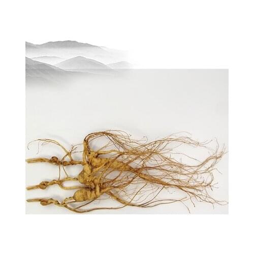 15 years changbai mountains wild ginseng under forest northeast specialty gift box Chandon use