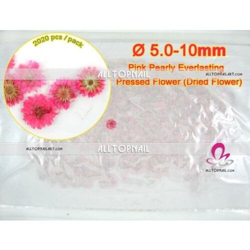 Anaphalis margaritacea pink pressed flower professionail nail art natural dried flower 2020pcs/pack - Free shipping