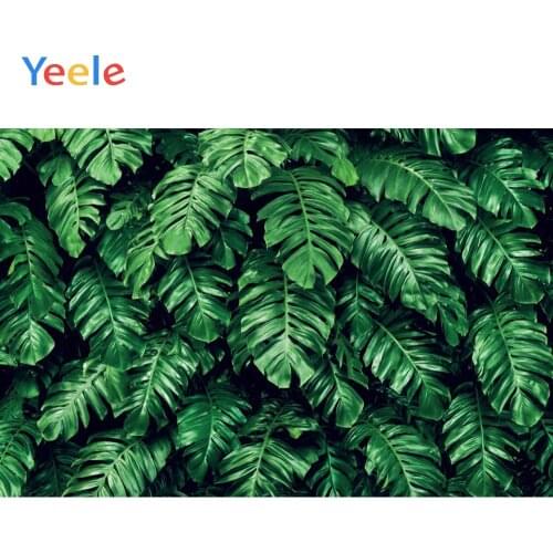 Summer Tropical Jungle Forest Tree Green Leaves Baby Portrait Birthday Backdrop Vinyl Photography Background For Photo Studio