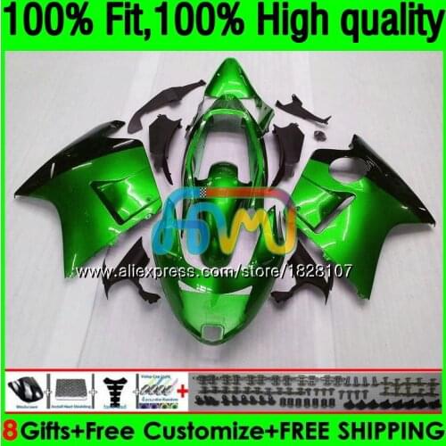 Blackbird For HONDA CBR1100 XX CBR1100XX 96 97 98 99 00 01 131BS.69 CBR 1100XX Light green 1996 1997 1998 1999 2000 2001 Fairing