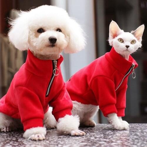 Winter Warm Pet Dog Clothes Turtleneck Velvet Leisure Comfy Sport Hoodies with Zipper For Small Dog Cat Pet Clothing