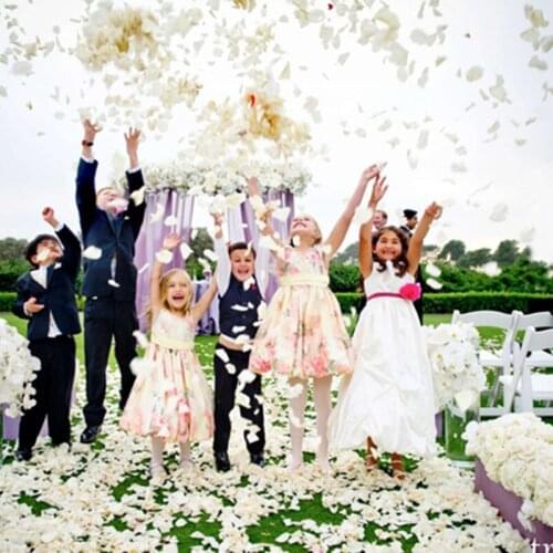 1500pcs Silk Rose Artificial Flowers Bride To Be Wedding Decoration Petals Table Flowers Bachelorette Party Decoration Mariage