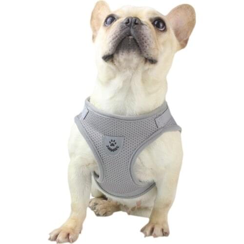 Fashion Pet Dog Harness Leash Vest Reflective Dog Chest Strap Breathable Dog Rope Small Dog Accessories