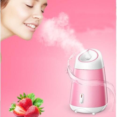 Steaming face hot spray fruit and vegetable steaming face machine facial moisturizing sprayer home humidifier steaming machine S