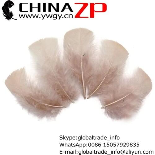 CHINAZP Factory www.ywgy.cn 10000pcs/lot Good Quality Nude Turkey T-Base Plumage Feathers for Decorations