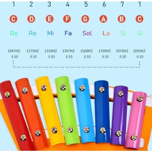 Colorful 8 Note Xylophone Mallet Percussion Instrument Learning Training Toy
