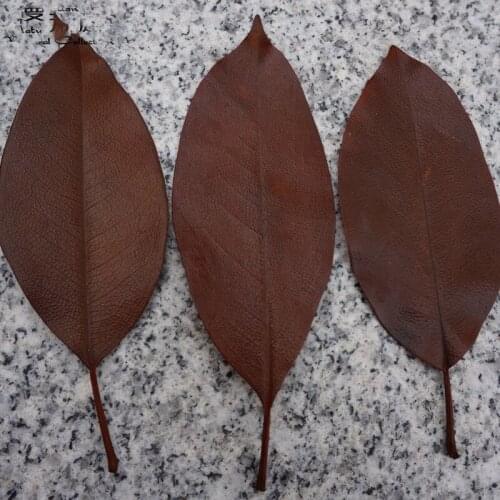 60pcs,Nature Preserved Real Leaves,Eternal Fresh plant for Wedding Home Decoration accessories,DIY Photo Frame Real Eternal Life