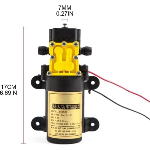 P15F 8L/min Large Flow Rate Agricultural Electric Water Pump High Pressure Diaphragm Water Sprayer Car Wash