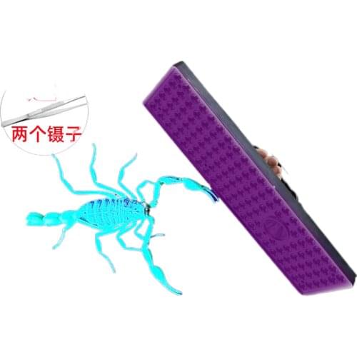 Scorpion scorpion light violet light special catching bright as the charging grip catch insects caught Scorpion light portable l