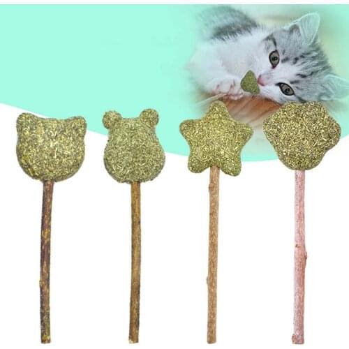 2021 New Catnip Sugar Cat Snacks Toys Cute Cartoon Mint Sticks for Cats Kittens Molar Teeth Cleaning Chew Toys Catnip Ball