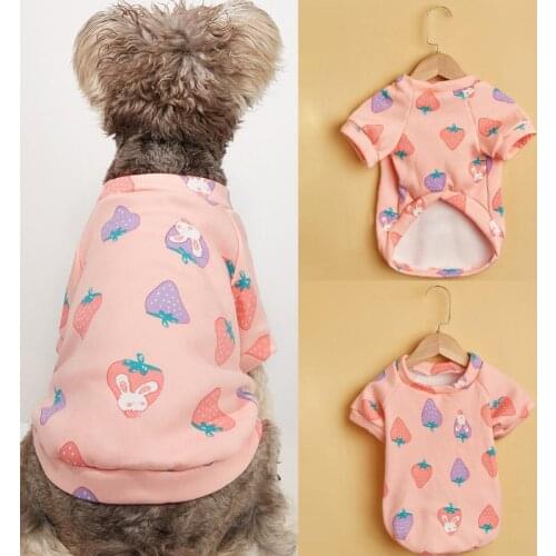 Strawberry Print Dog Pullover Round Neck Puppy Coat Two-Legged Pet Clothes For Small Medium Dog Costume Ropa Perro Pet Clothes