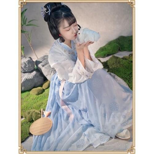 Traditional Costume Pleated Skirt Hanfu Folk Cosplay Clothing Outfit Tang Dynasty Dance Clothes Chinese Ancient Outfits YS1524