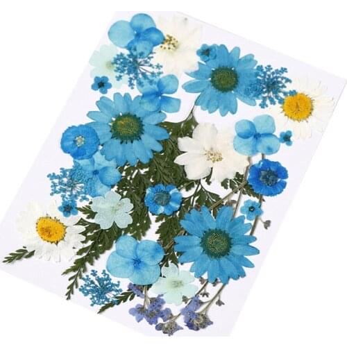 Multicolor Real Pressed Dried Flowers DIY Preserved Flower Decorations for Art