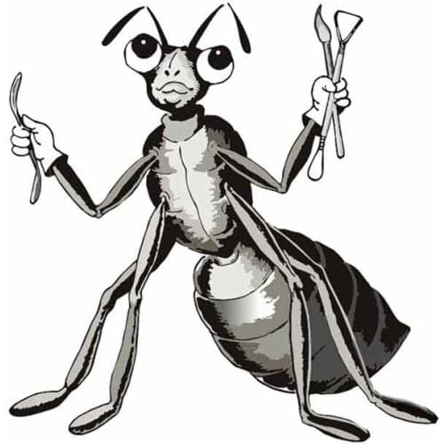 SZWL Funny Ant Decal Fashion 3D Waterproof Sunscreen Car Stickers Automobile Accessories Decoration Decals Vinyl,13cm*12cm