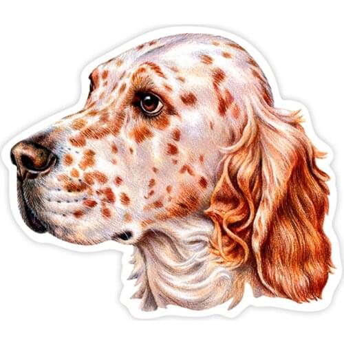 S40213# Various Sizes PVC Decal English Setter Car Sticker Waterproof on Bumper Rear Window Laptop Refrigerator Toilet