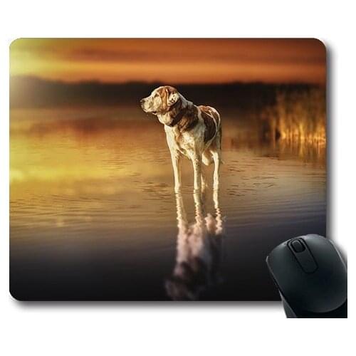 Cute Dogs,Dog Sunset Waters Reflection Lake Composition,dogs mouse mat