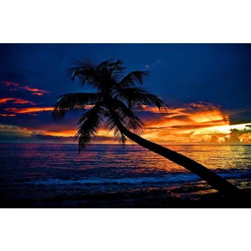 14/16/18/28 CROSS STITCH Full Round Drill 5D DIY Diamond Painting " L3841 Coconut Sunset Scenery " 3D Embroidery Cross Stitch