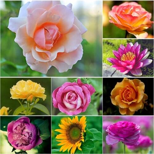 DIY Full Square Round 5D DIY Diamond Painting Landscape Mosaic Diamond Embroidery Sale Rose Picture Rhinestone Home Decor Gift