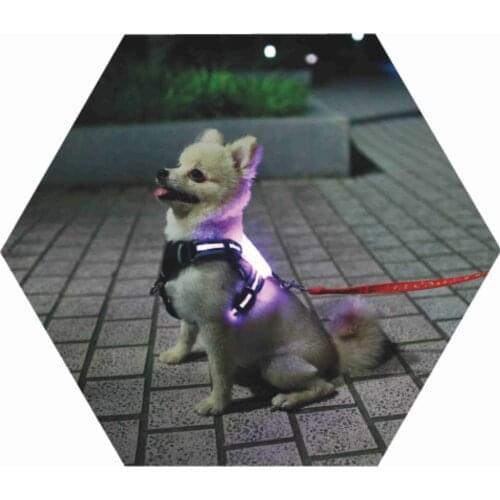 CC Simon Led Dog Harness 7 Color in 1For Large and Small Dog