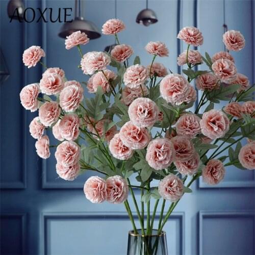 Aoxue Artificial Carnations