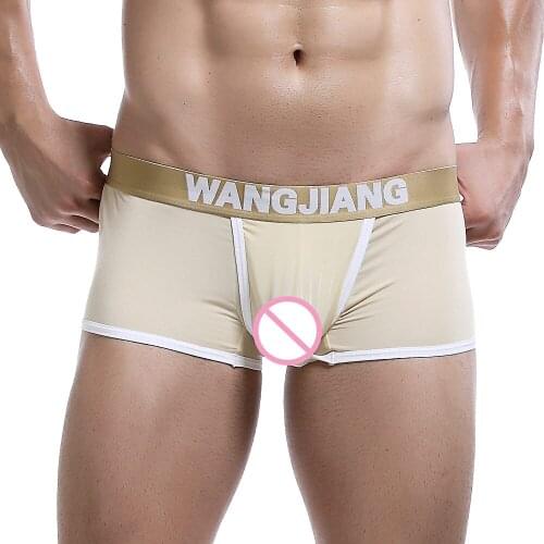 Sexy Mens Ice Silk Underwear Lingerie Low Waist Bulge Pouch Boxers Sexy Solid Boxer Shorts Trunks Breathable Underpants S-XXL