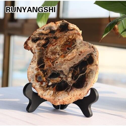 1pc Natural Fossil And Minerals Woodstone Wood Fossil Tree For Home Decoration Wooden Tree Fossil Cup Cushion Stone Coaster