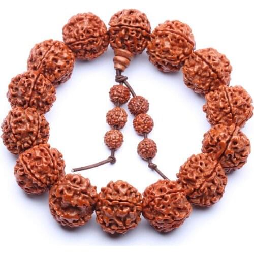 18mm FIve Petal Rudraksha Seeds Disciple Beads Tibetan Buddhism Amulet Bracelet