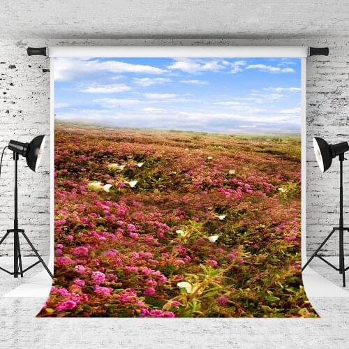 VinylBDS 5X7FT Lawn Slopes Wedding Photography Background Blue Sky Pink Flower Backdrops for Photography Valentine Background
