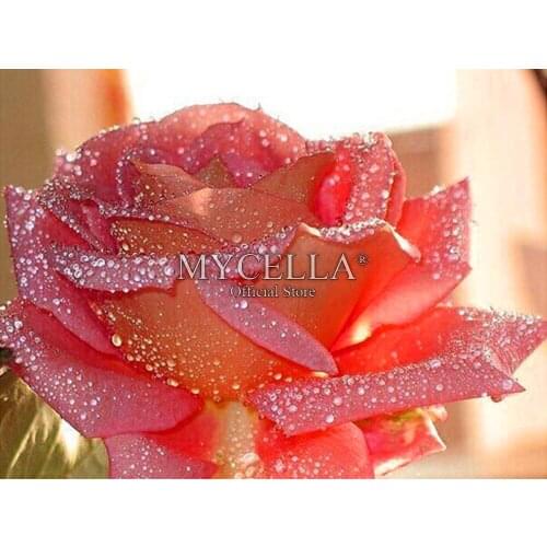 Flowers 5D DIY Diamond Painting Cross Stitch Rose Round Rhinestone Mosaic Diamond Embroidery Crafts Christmas Gift Home Decor